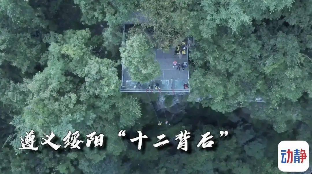 汽车保养一次需要多少钱？游戏画面